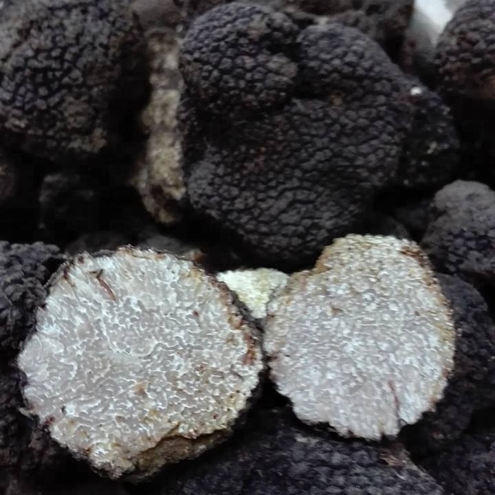 Органические дикие летние трюфели TARTUFO BIO lucano fresco Сделано в Италии