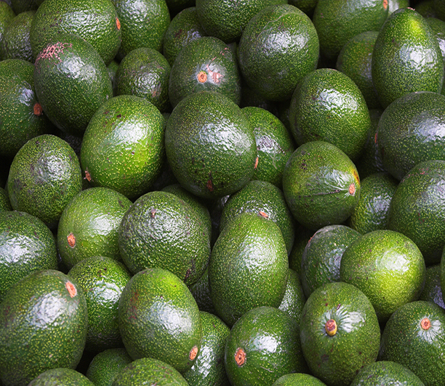 CHEAPEST PRICE FRESH AVOCADO