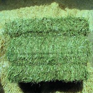 Premium Timothy Alfafa Hay