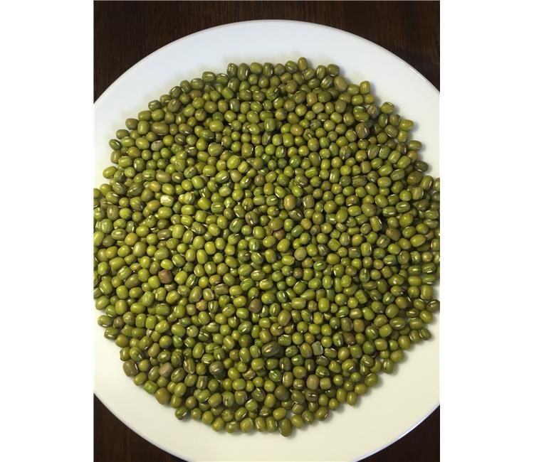 Thailand specification organic wholesale green mung bean