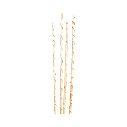 Indian Botanical Bamboo Vine For Stage Decoration