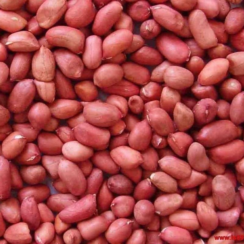 Арахис из красной кожи для продажи новый урожай