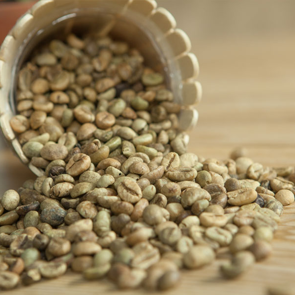 Кофейные Зеленые зерна, хорошее предложение-КОФЕ ROBUSTA WHATSAPP + 841694376415 0084971054925