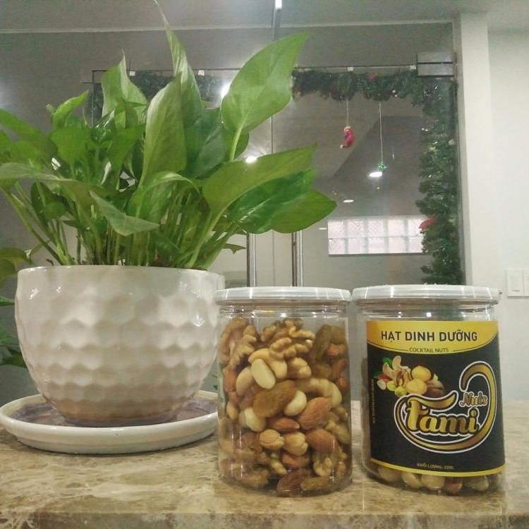 Mixed nuts/cooktail nuts/Nutrition nuts