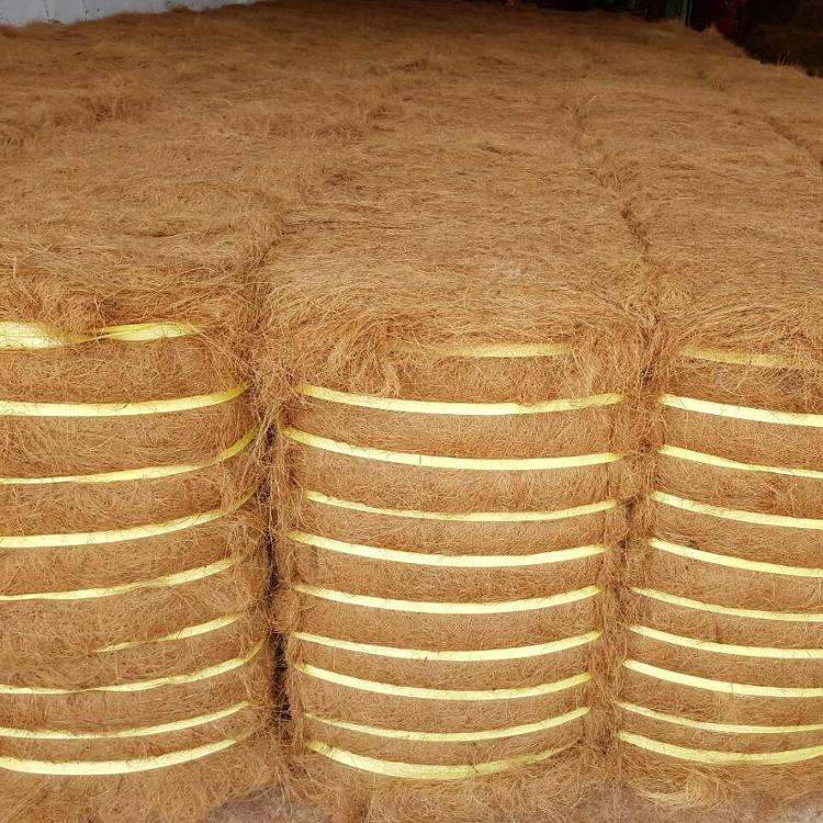 High quality Coir fiber growing medium from Sri Lanka