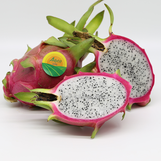 DRAGON FRUITS COMPETITIVE PRICE FOR EXPORTER
