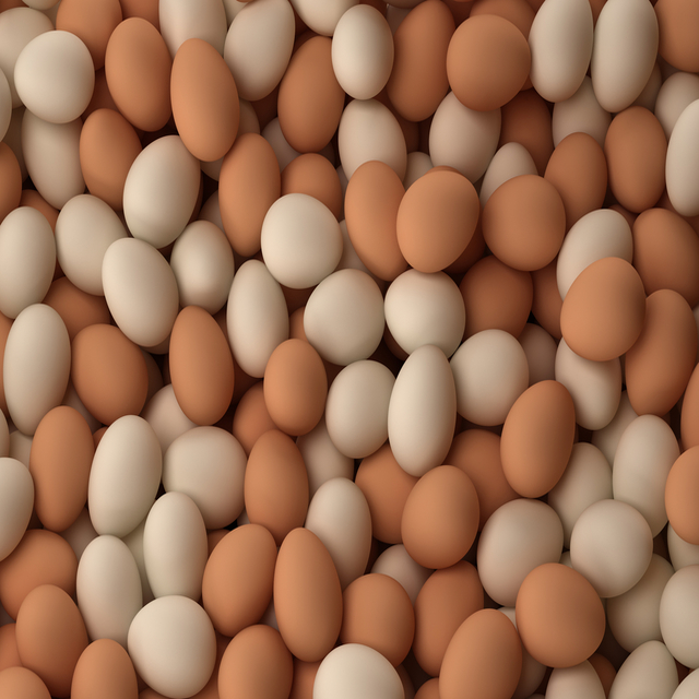 Fresh Chicken Table Eggs Brown and White Shell Chicken Eggs