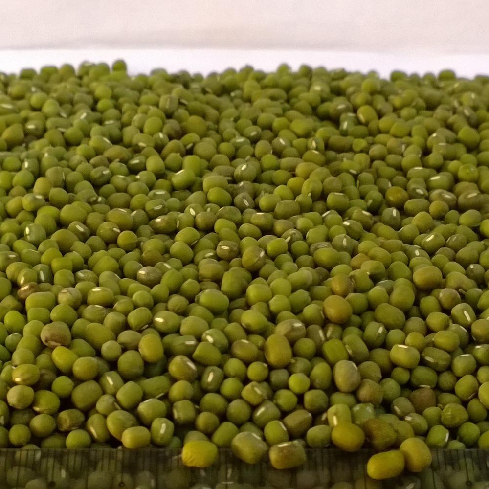 Green Mung Beans 3.25mm up Myanmar Origin