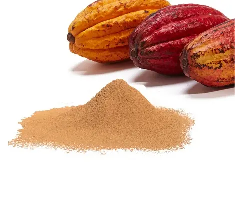 100% Natural Premium Grade Organic Raw Cacao Powder for Sale