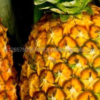 hot sale high quality ananas fresh