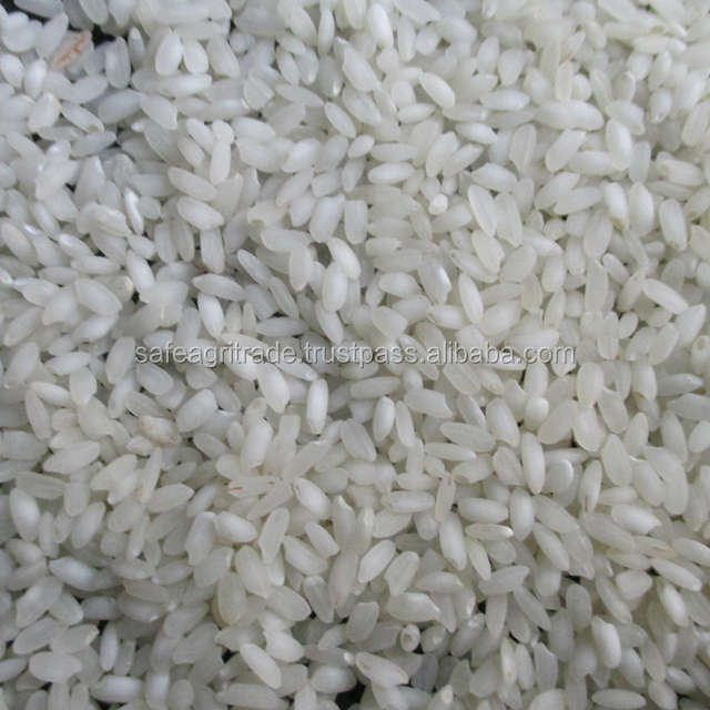 Premium Quality Round white rice