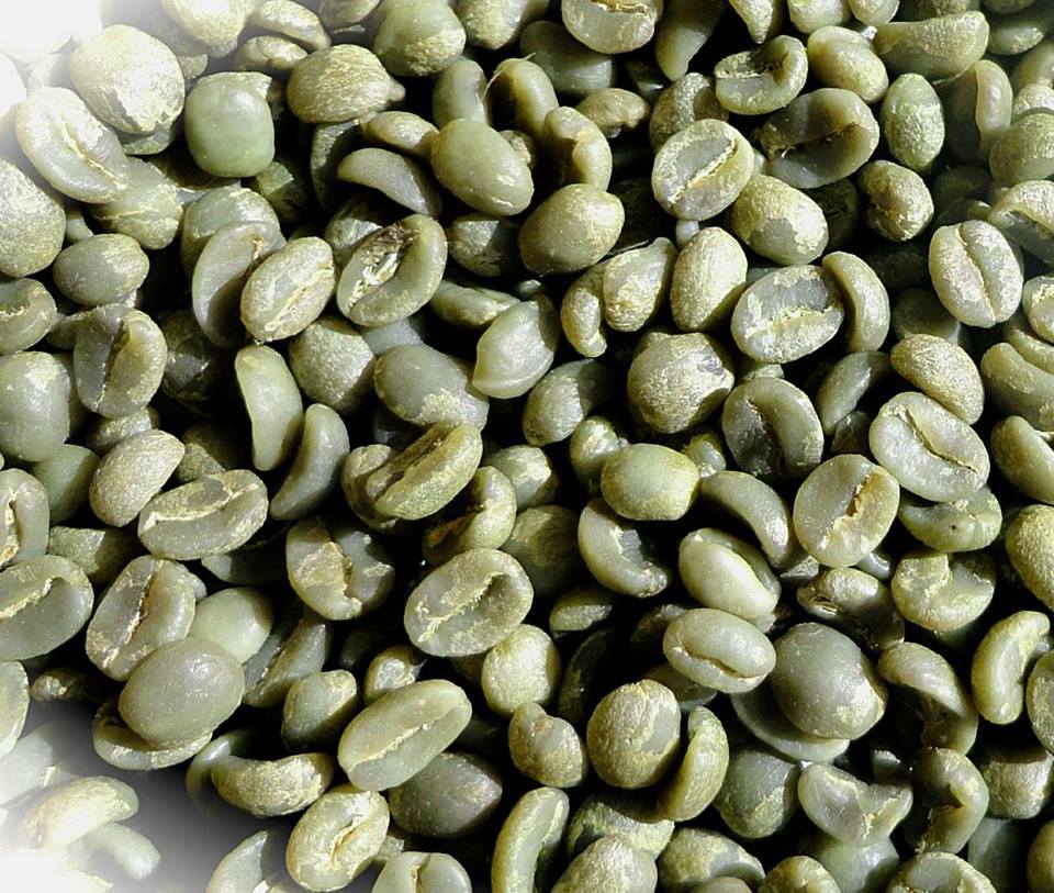 Зеленые кофейные зерна ROBUSTA из Вьетнама