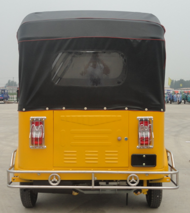 Новый дизайн авто 3 Wheeler ТЕЛЕВИЗОРЫ Король, импортируемые из Китая