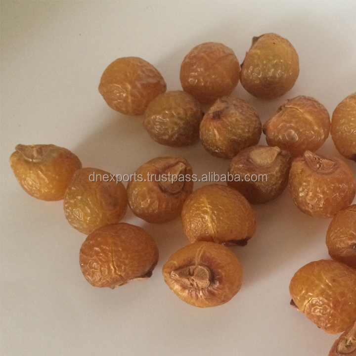 Organic Sapindus Mukorossi shells- Nepal origin, Best quality Soap Nuts shells