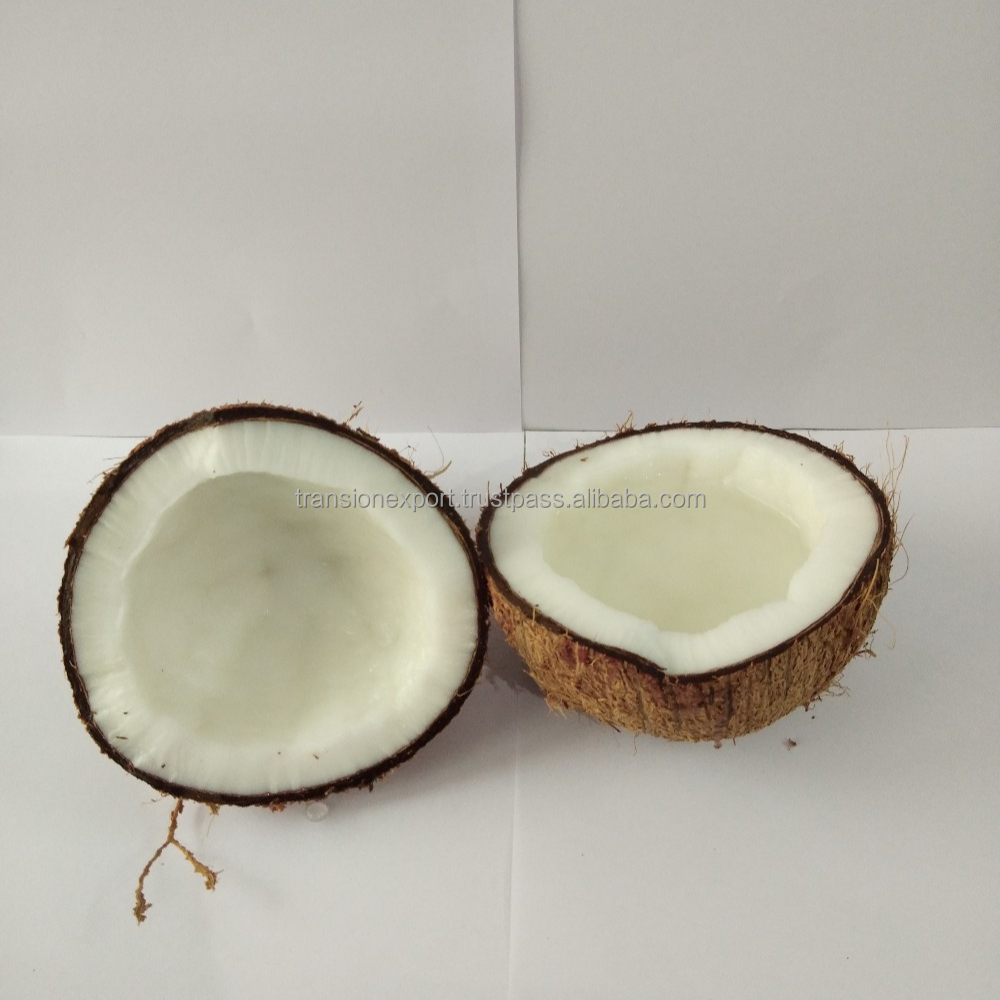 FRESH COCONUT