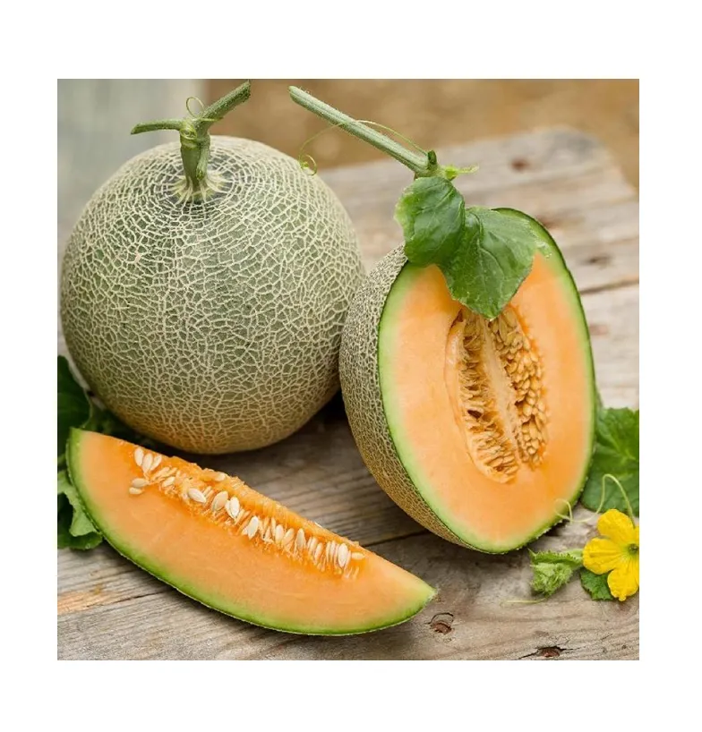 Melon Sweet Organic Natural Fresh Fruits Round Organic Melon Fruit, Fresh Cantaloupe Fruit Contact us for Best Price