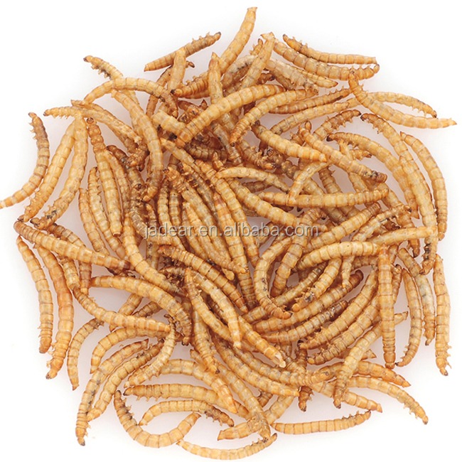 Best Pet Food Factory Birds Food Dried Mealworms