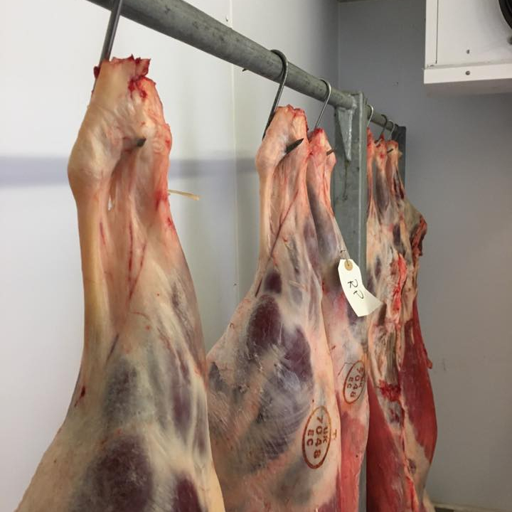 frozen lamb meat for sale