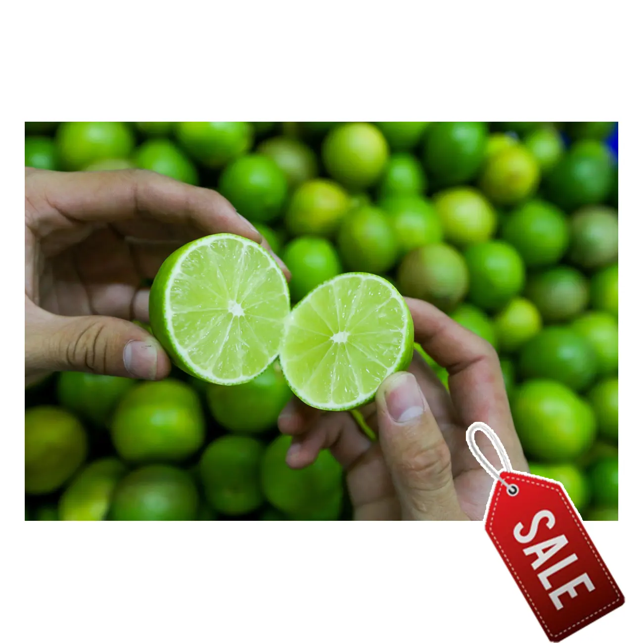 2021| 15% PRICE OFF Fresh Seedless Lime Lemon | Vietnam Agricultural Export Products | Cheap Price for Buy in Bulk | Inquiry Now