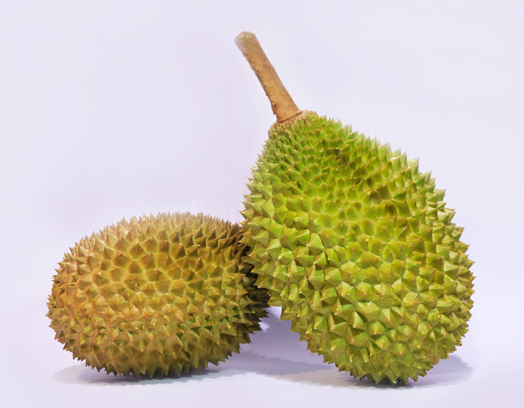 Premium Quality Fresh Durian Fruit XO AA D24 from Malaysia Top Durian Supplier