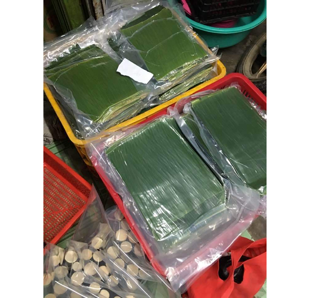 Fresh Banana Leaves From Vietnam Banana Leaves Wholesale Suppliers