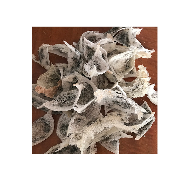 Edible Bird's Nest Grade A Beauty Personal Care Premium Product Nature Orgenic from South Thailand for 100% Export