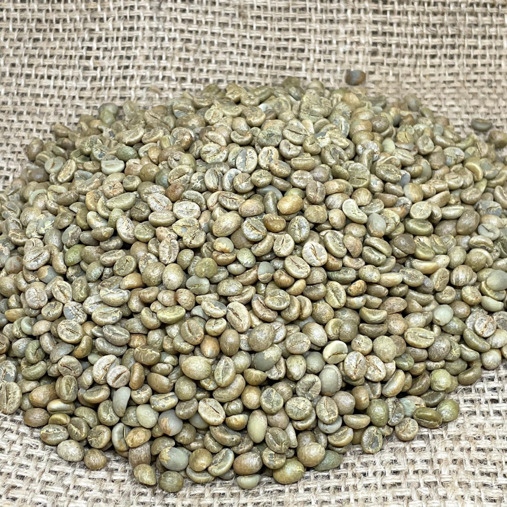 Vietnamese Robusta Green Coffee Beans Process Honey, S16, Grade A, Premium Quality, Single Origin