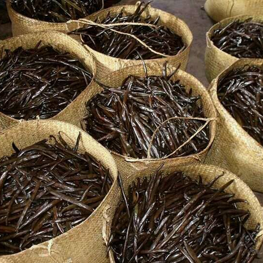 Black Madagascar Vanilla Beans