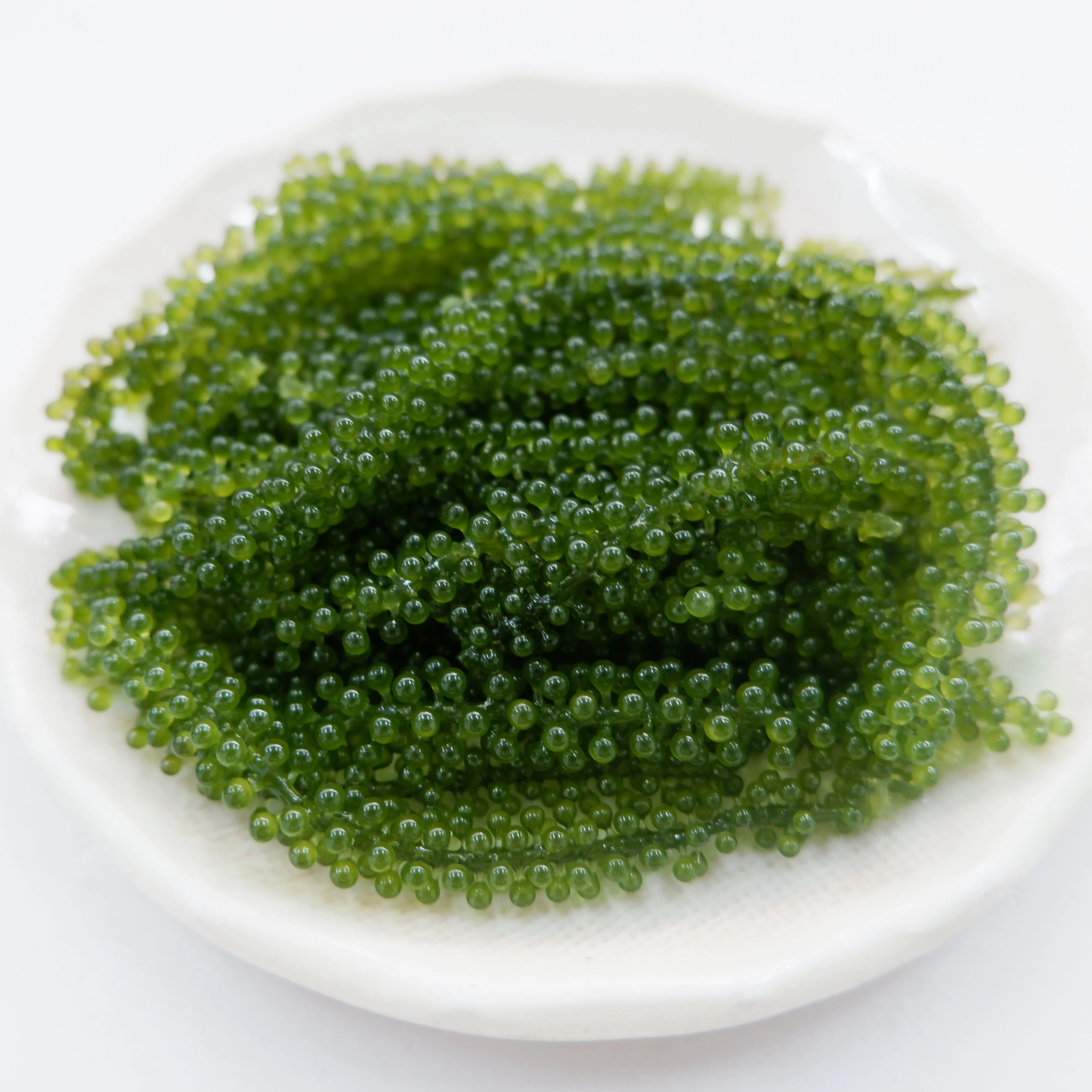 Green Food Salted Sea Grapes/ Dehydrated Seaweed/ Umibudo/ Green caviar/ Caulerpa lentillifera/ Coccoloba Uvifera/ Organic/ 200g