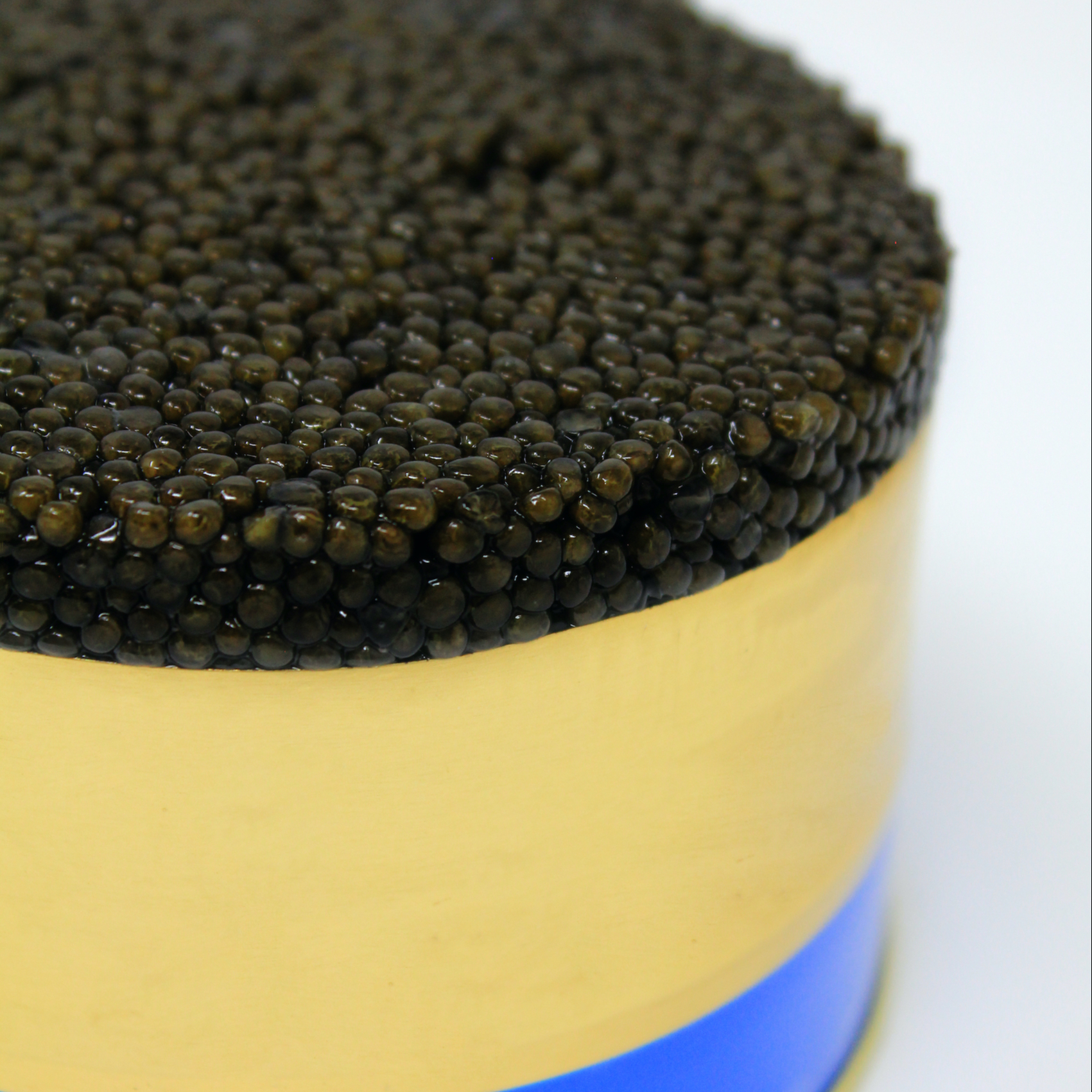 High quality Sustainable Siberian Sturgeon Caviar 500gr Tin