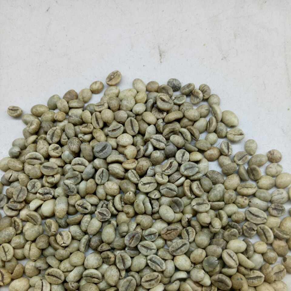 Кофе-экран ROBUSTA 18