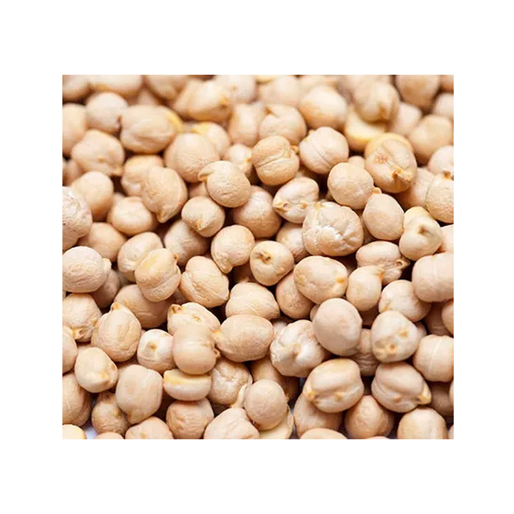 Wholesale Dealer of Best Selling 8% Moisture Organic Dried Chickpeas for Bulk Purchase
