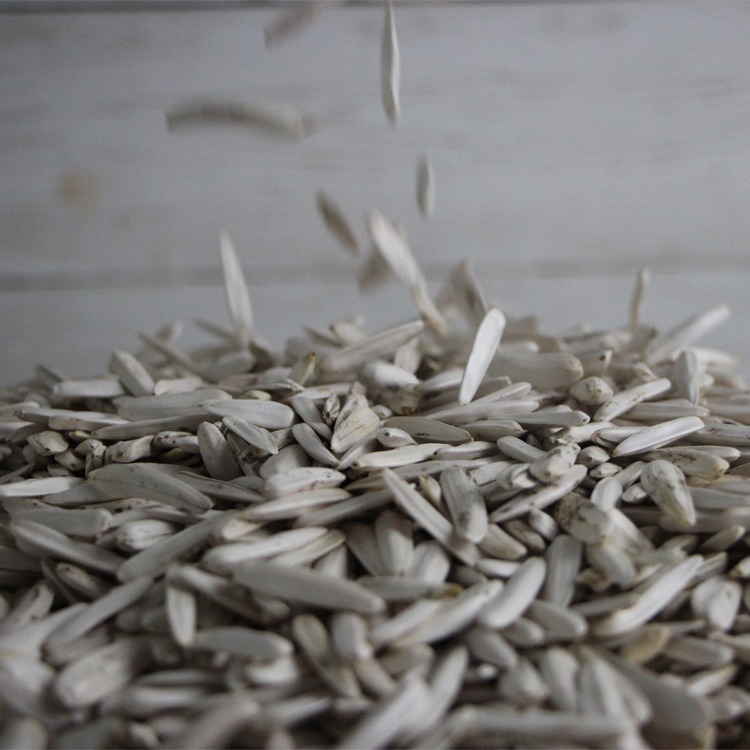 Wholesale Sunflower Seeds High Quality White Sunflower Seeds for sale