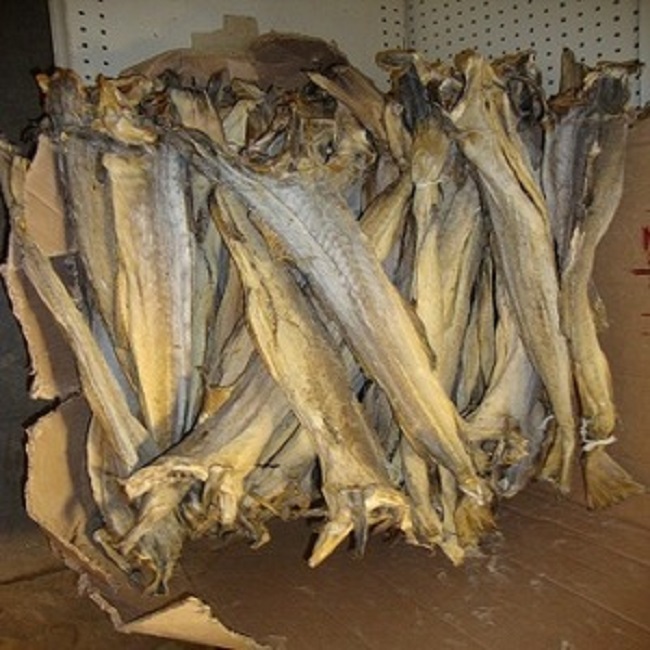 Norwegian Stockfish 60/80cm Dried Cod Full Bale for Immediate Supply Haithe, Haddock.