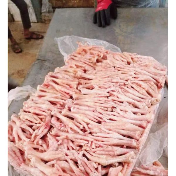 Chicken Feet and Paws From Pakistan Origin