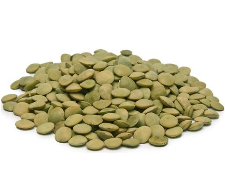 CANADIAN GREEN LENTILS / RED LENTILS / YELLOW LENTILS