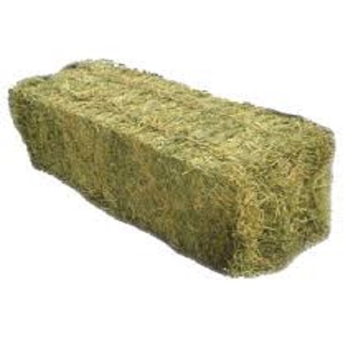 Alfalfa Hay Bales For Sale