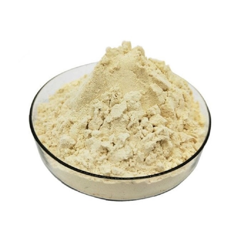 Soybean Meal soybean meal example