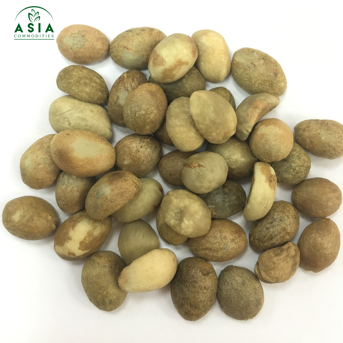 Лучшая цена, вьетнамские кофейные зерна ROBUSTA/новый урожай/азиатские товары