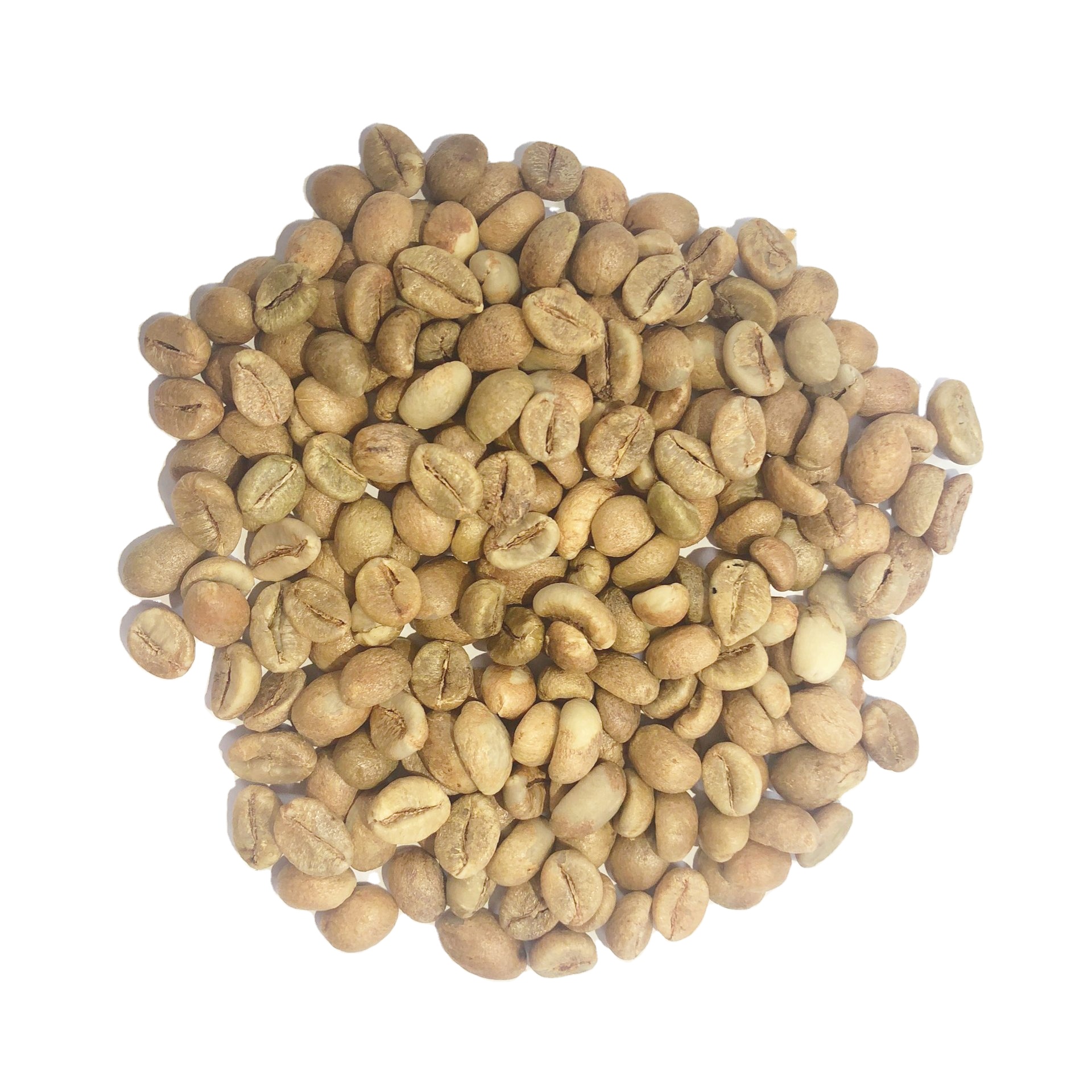 Cheapest Price for Robusta Grade 2 Screen 13 Standard, Good Quality