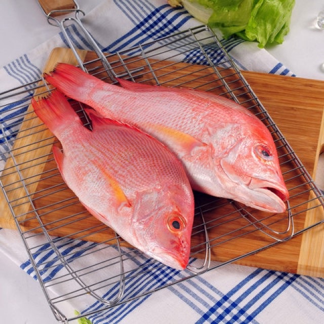 Хорошее качество, свежий замороженный стиль, экспорт морепродуктов, вкусный красный змеевик из малайзии