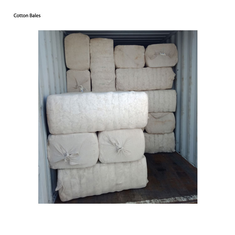 Top Selling Premium Quality 100% Pure Organic Raw Cotton Bales at Good Price