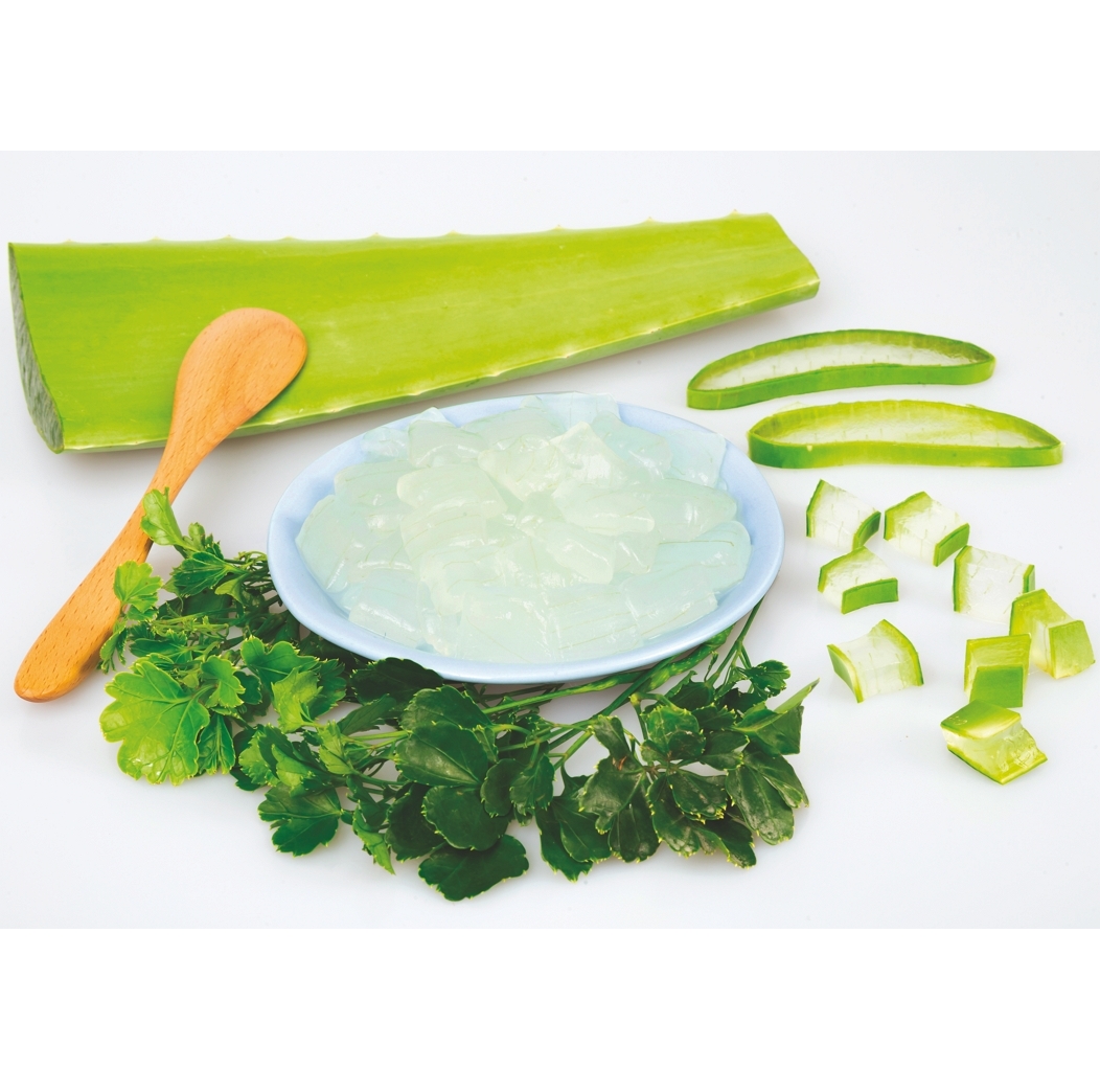 High Quality Aloe Vera Gel/Aloe Vera Cube Fresh Extract Pure Natural Diced Aloe Vera For Beverage Products