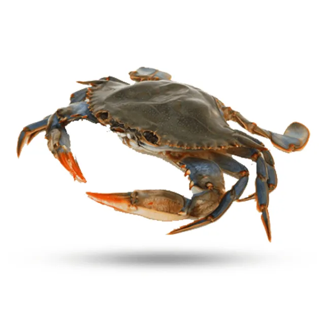 Frozen King Crab ,Live King Crabs | ,King Crab Legs at low price