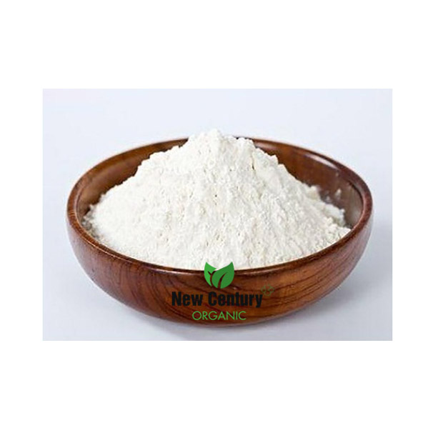 Modified Tapioca Starch Vietnam