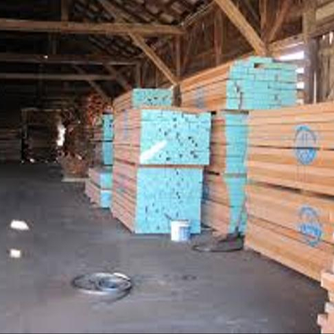 Beech Timber Type Beech Lumber