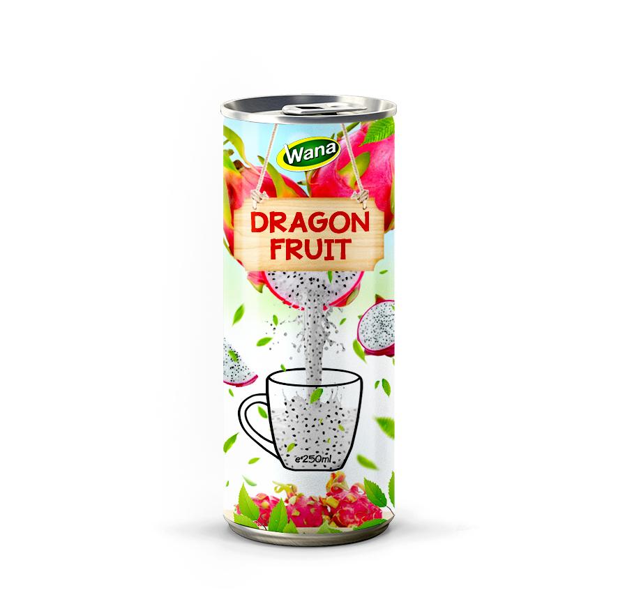 Natural Fruit Juice Drink Manufacturing Beverage from Viet Nam - private label or OEM services