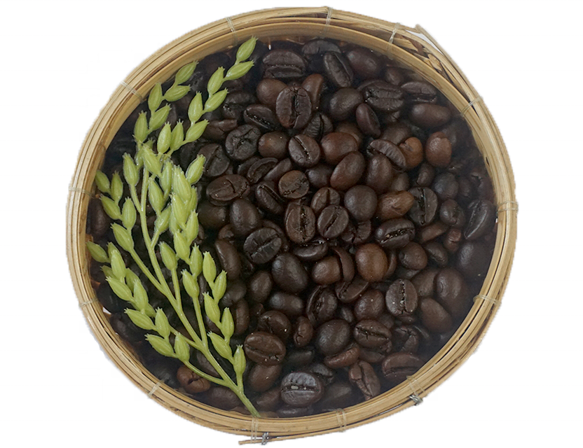 Viet Nam Robusta жареный кофе в зернах с вкусным черным кофе