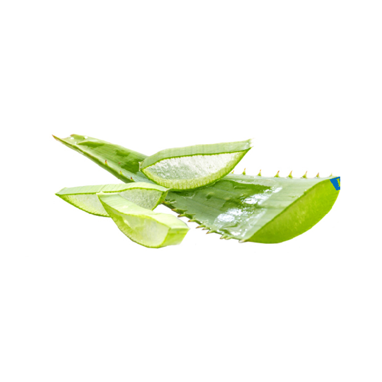 Organic High Quality Aloevera Juice Price