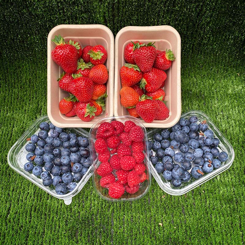 Вкусные Замороженные сушеные ягоды, ягоды насыпью, клубника, Blackberry, черника, малина, здоровая хрустящая закуска, замороженные сушеные фрукты